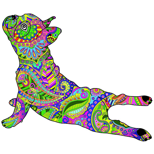 Adult colouring book | Dog doing yoga - front cover | 60 plus club